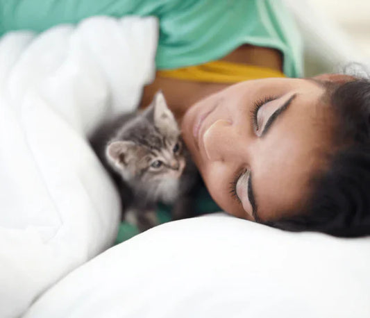 The Science of Snuggling: How Cuddling Boosts Sleep Quality